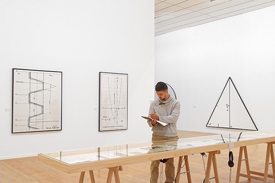 regards croisés sur l'oeuvre de Bernar Venet