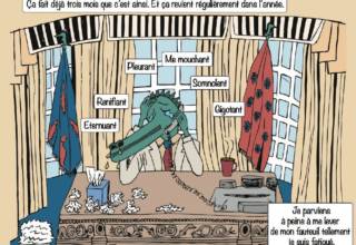 Visuel de la BD de Alice Paillard sur Rjinite allergique