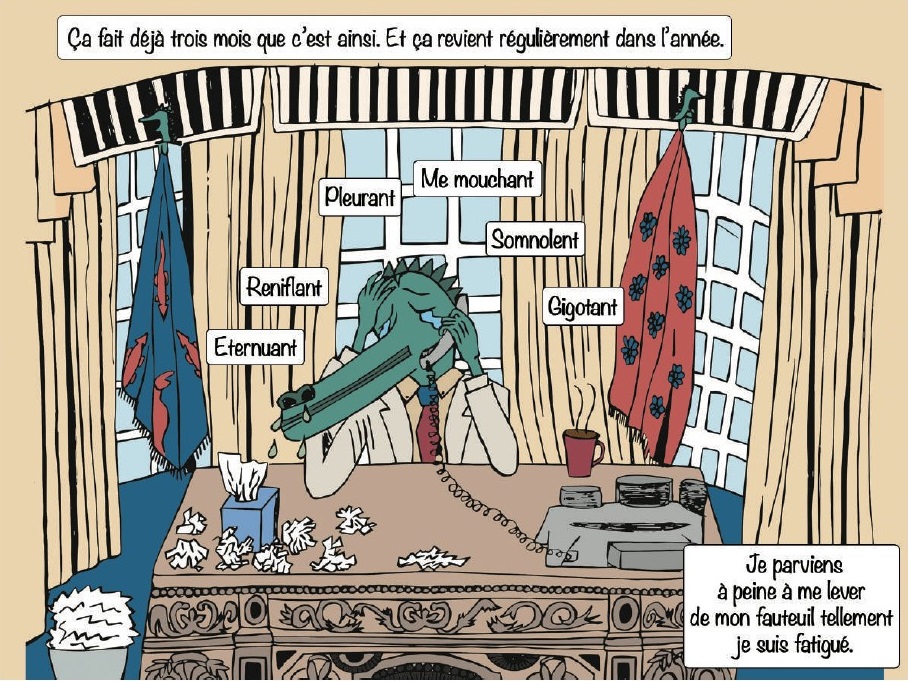 Visuel de la BD de Alice Paillard sur Rjinite allergique