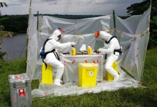 Région de Lambaréné, Gabon : à la recherche du réservoir du virus Ebola, des scientifiques autopsient des chauves-souris et recueillent des échantillons biologiques qui seront analysés au Centre de Recherches Médicales de Franceville. Jean-Jacques Lemasson / IRD, Author provided