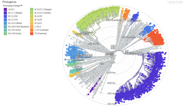 carte radar montrant l'émergence des lignées du SARS-CoV-2