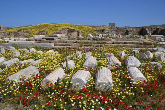 Délos, le temple des Douze dieux au printemps © J.-Ch. Moretti