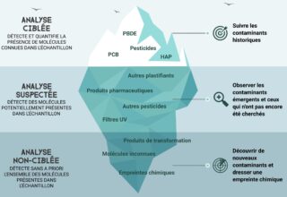 Infographie analyses chimiques plastique milieux aquatiques - SBELAUD- BD