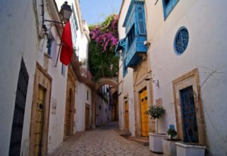 Medina of Tunis - Image d'une ruelle fleurie, entourée de maisons à étages et qui se touchent. Les maisons sont blanches, et leurs portes et fenêtres sont colorées en bleu ou en jaune. L’atmosphère est chaude.